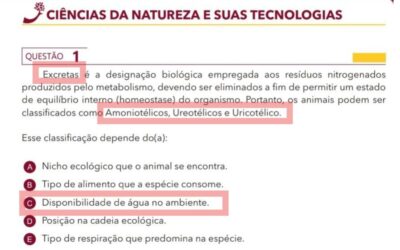 Enem de Belém: 4 questões de matemática e de ciências da natureza já haviam sido antecipadas por Edcley Teixeira e colega
