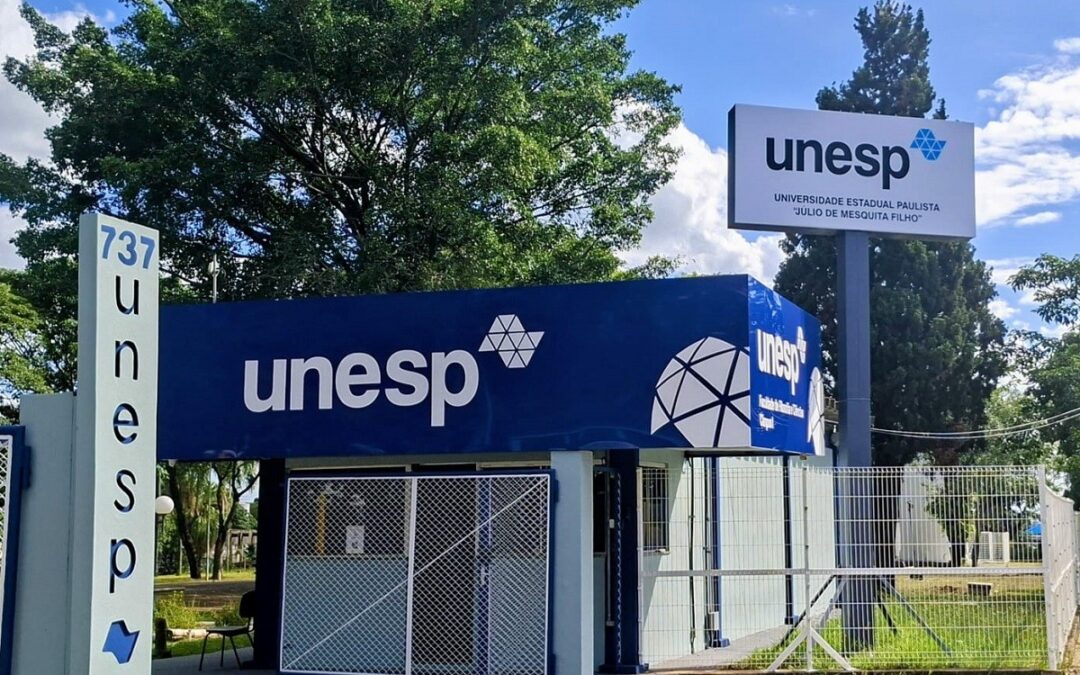 ‘Eu, aluno, declaro que usei IA’: veja o que universidades permitem e proíbem em trabalhos e pesquisas