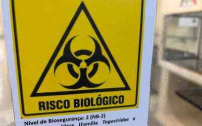 Quais vírus perigosos são mantidos em laboratórios de universidades? Entenda por que cientistas armazenam microrganismos vivos