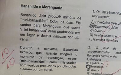 ‘Bananildo produzia milhões de minibananildos’: questão de ciências com ‘frutas do TikTok’ viraliza, mas pode confundir alunos