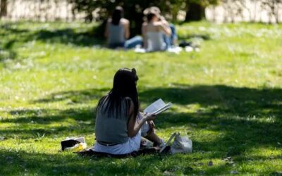 O que é a leitura profunda e por que ela faz bem para o cérebro