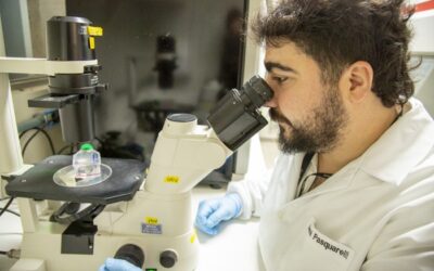 Estudo da UnB em fase inicial vê ômega-3 como possível aliado no combate ao câncer de ovário