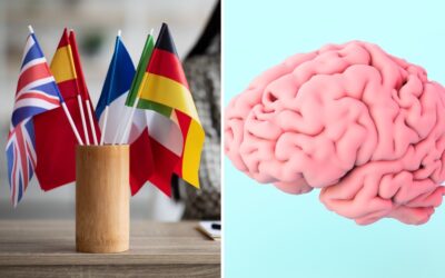 Quanto mais idiomas você fala, mais jovem seu cérebro pode parecer, indica pesquisa