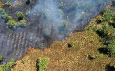 ‘Mudanças climáticas’ ou ‘mudança climática’? Por que a diferença entre singular e plural faz diferença